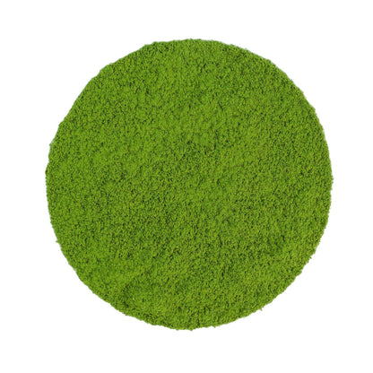 Japan Matcha ONE BIO -  Barattolo 30g