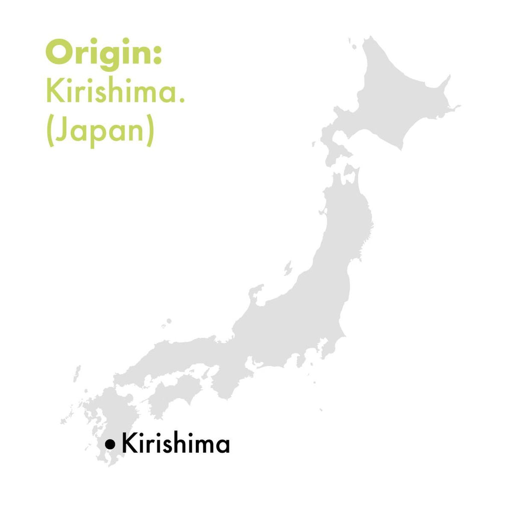 Japan Matcha ONE BIO - 30g Jar 