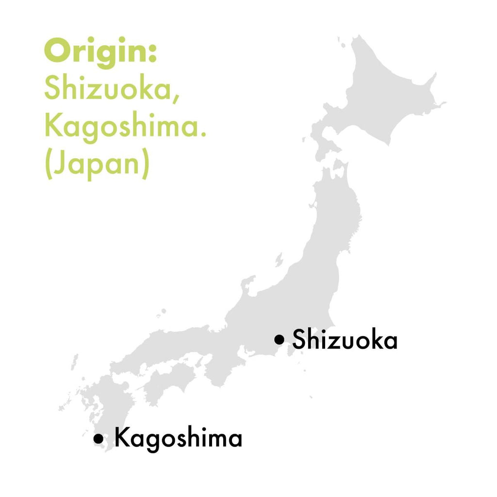 Japan Matcha DELUXE BIO - Barattolo 30g